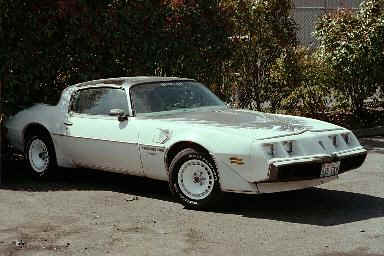 Perty Trans Am