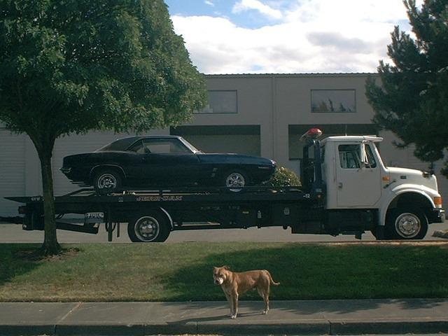 Yes that is a seldom seen "BANSHEE".  He is guarding the transport of this vehicle.  You know what four years ago I picked this name for my dog.  Now you hear it on TV.  Go Figure.  Next word is Minion.