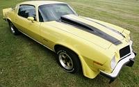 Some like the Camaro type of spoiler. Now, go and put that on your Trans Am and people will just shudder. They seem to want to keep them all in their own little boxes.