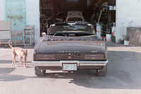 Restoration on a 68 Firebird Convertible