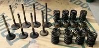 Ok here is your Mechanics Test.  What can you tell about these items.  Well if you are around Danny these are Garbage.  Now some other fast food mechanics would save these for the next motor.  The old springs have sagged over time and the valve stems h...