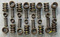 There are many types of valve spring combinations.  Some are single.  Some sets of heads require double spring sets and some sets of heads require valve springs that have triples.