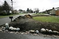 The front yard has to follow the rock rule.  You see the rocks do not grow.  On top of that hopefully they will keep the plants, dogs, kids, and cars off the grass.  Time will tell.